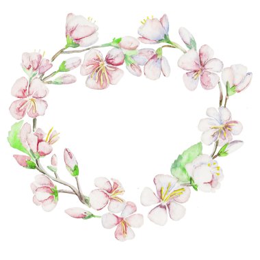 Bahar, kiraz, elma, çiçekler. Suluboya yalıtılmış nesne.