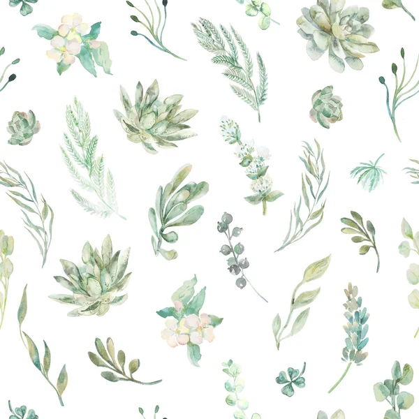 Floral seamless pattern. Succulents, ferns, thorns. — Stock Photo, Image