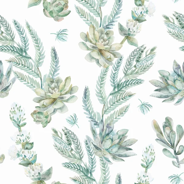 Çiçek seamless modeli. Succulents, eğrelti otları, dikenler.