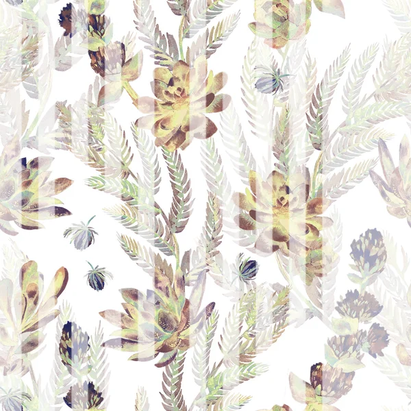 꽃의 완벽 한 패턴입니다. Succulents, 고 사리, 가시. — 스톡 사진