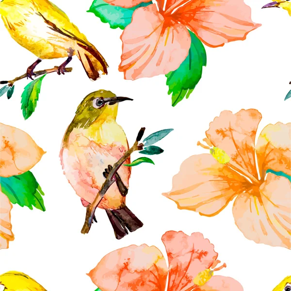 Tropikal kuşlar ve çiçekler. White-Eye hibiscus. Vektör.