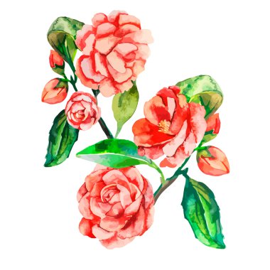 Dekoratif çiçek. Vektör gerçekçi çiçek.