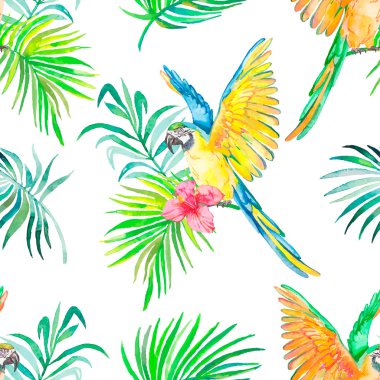 Amerika papağanı seamless modeli. Saydam arka plan. Palmiye yaprakları ve