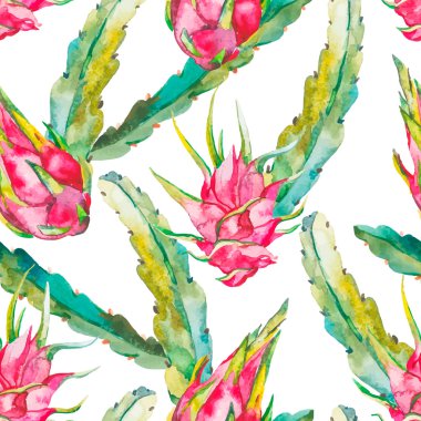 Tropikal seamless modeli. Egzotik yaprak ve meyve. Vector.Dragonfruit, pitaya, pitahaya. Pitaya Cactaceae aile ya da kaktüs bitkidir.
