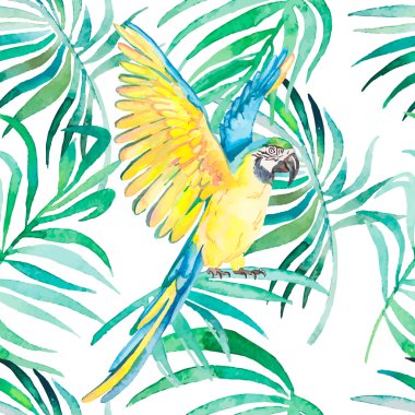 Tropikal kuşlar ve bitkiler seamless modeli. Suluboya vektör. Saydam arka plan.