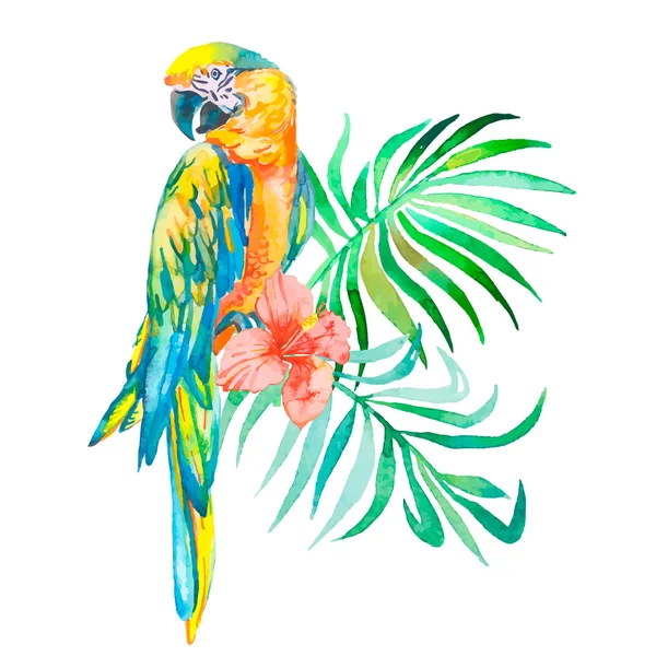 Aves tropicales aisladas sobre fondo blanco. Guacamayos. Art. . — Vector de stock