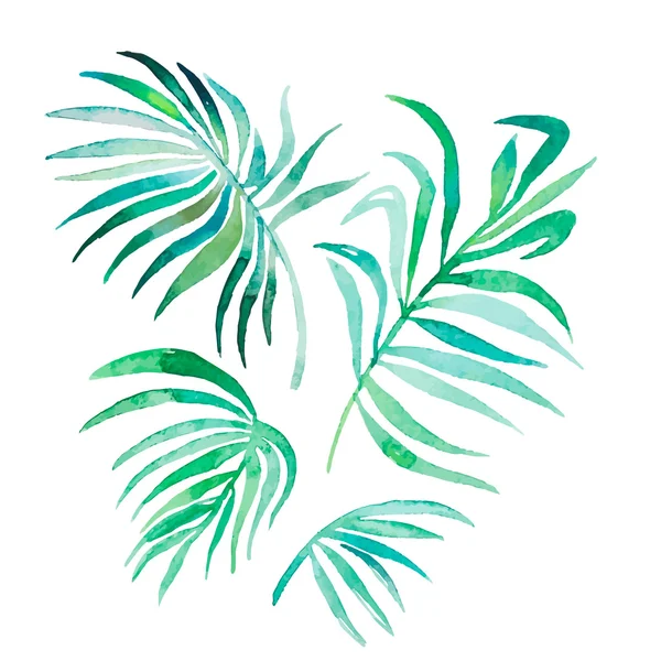 Ακουαρέλα palm φύλλα απομονωμένα σε λευκό. Φορέα για το σχεδιασμό σας. — Διανυσματικό Αρχείο