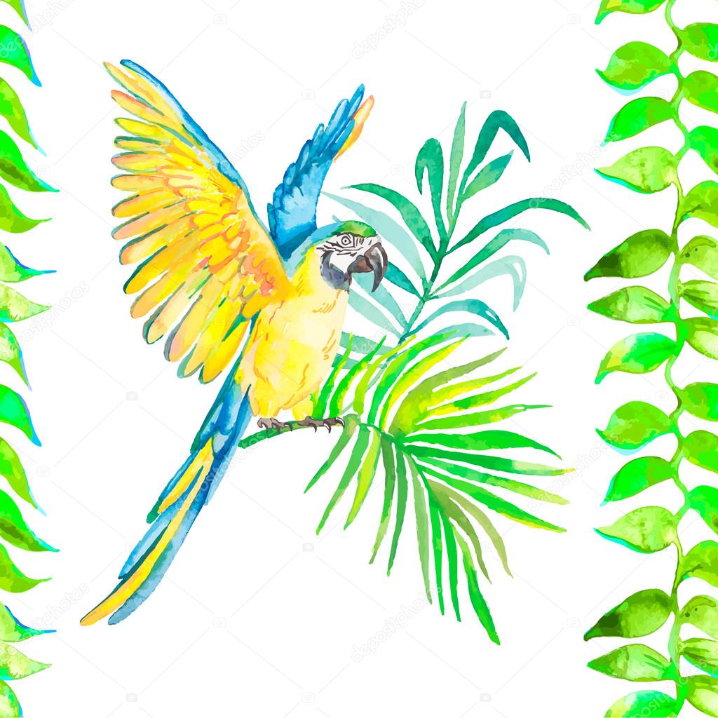 Macaw seamless pattern. Transparent background.