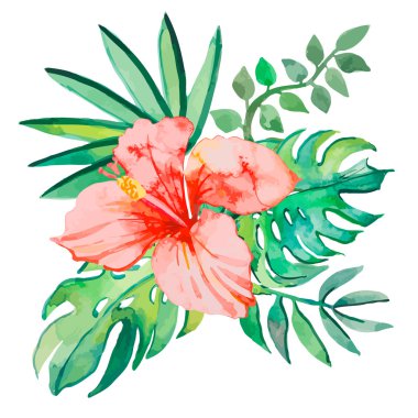 Beyaz arka plan üzerinde izole tropikal yaprak. bitkiler: egzotik çiçek ebegümeci ve yaprakları. Vektör.