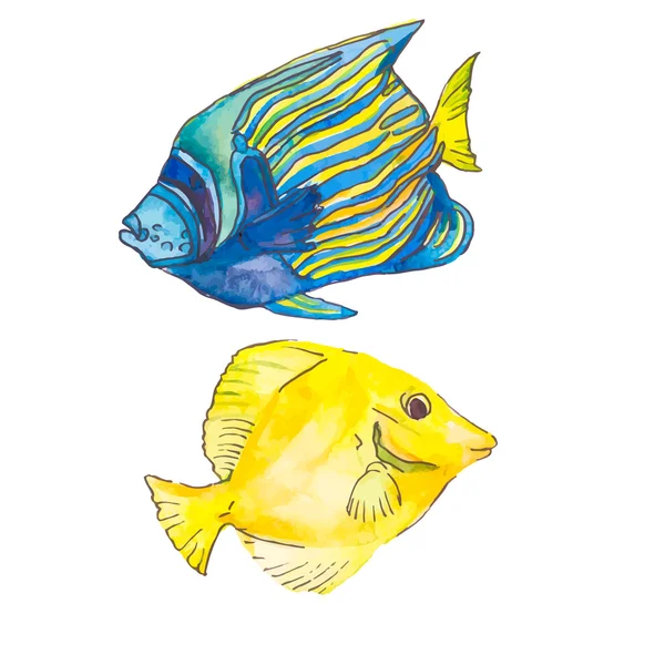 Des poissons isolés. Poissons tropicaux sur fond blanc . — Image vectorielle