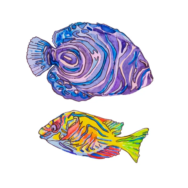 Des poissons isolés. Poissons tropicaux sur fond blanc . — Image vectorielle