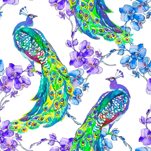 Belo padrão de pavão. Vector. Pavões e orquídea . — Vetor de Stock