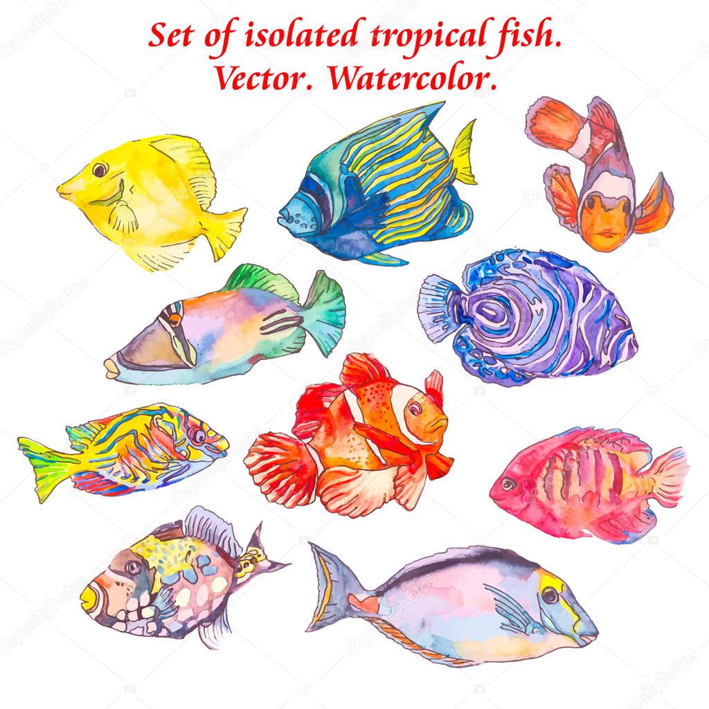 Set of tropical fishes. Vector
