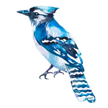 Beyaz bir arka plan üzerinde izole mavi alakarga. Suluboya. Vektör.