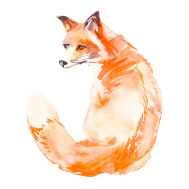 Beyaz arka plan üzerinde izole Fox. Suluboya. Vektör.