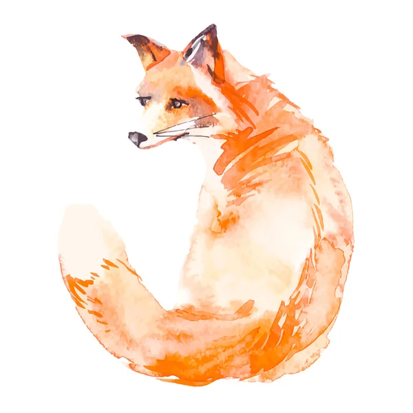 Fox isolated on white background. Watercolor. Vector. — Stock Vector