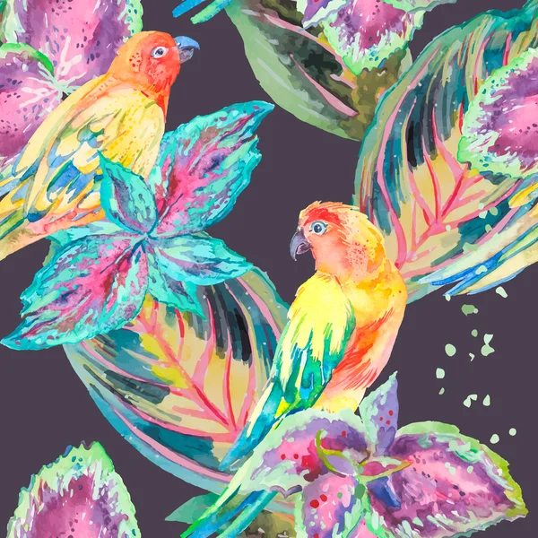 Акварельні папуги .Тропічна квітка і листя. Екзотичні . — стокове фото