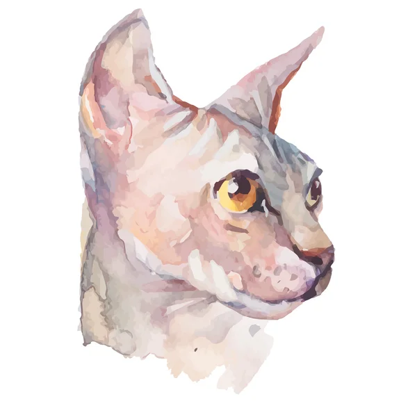 Portrait dessiné à la main Élégant chat Sphynx. Eléments isolés vectoriels. La mode. Aquarelle . — Image vectorielle