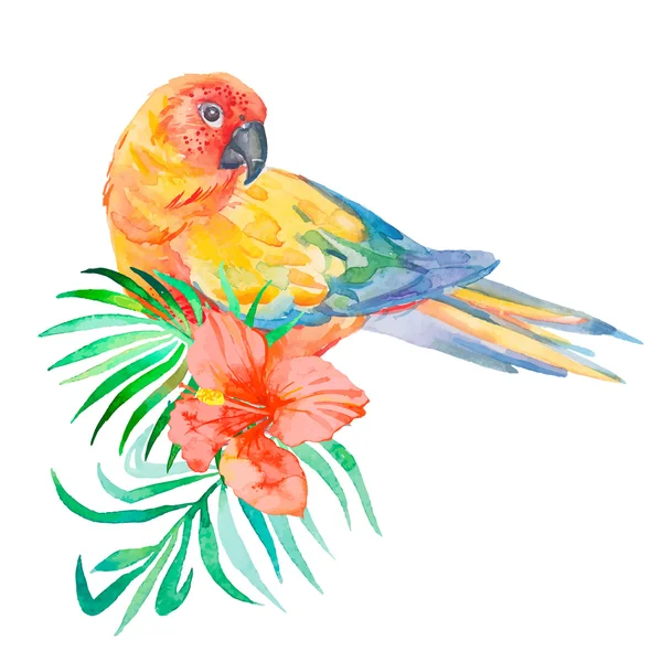 Aves tropicales aisladas sobre fondo blanco. Hojas de palma y flor tropical. Loro . — Vector de stock