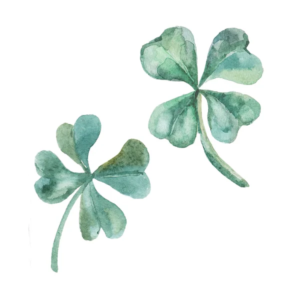 Watercolor clover. St. Patrick Day. — Stock Photo, Image