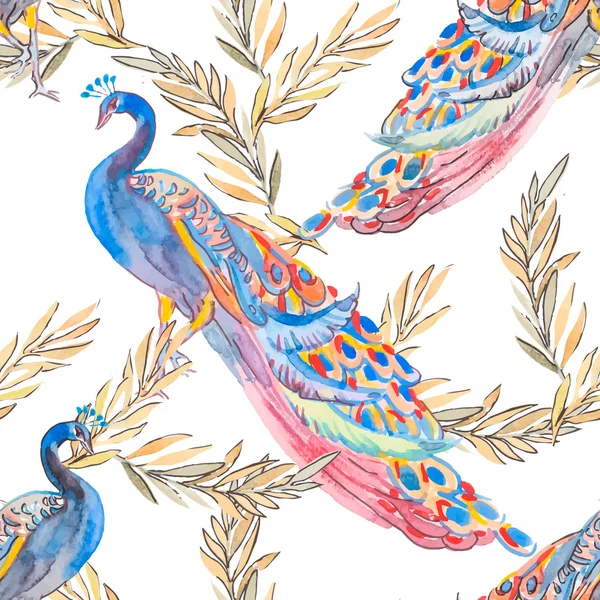 아름 다운 공작 패턴입니다. . 공작 새와 식물. — 스톡 사진