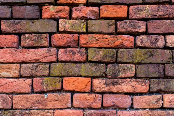 오래 된 빨강 주황색 벽돌 벽 14 — 스톡 사진