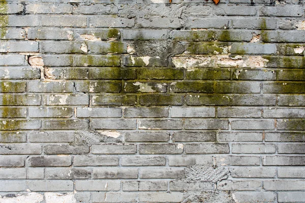 Muschioso muro di mattoni grigio per lo sfondo 4 — Foto Stock