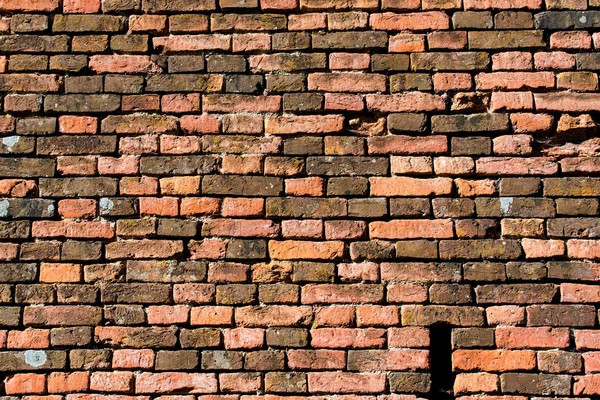 Old red-orange brick wall, background, texture 24 — Stock Photo, Image