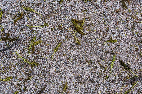 küçük taş ve çakıl 28 yüzeyinin