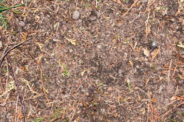 toprak yüzeyine küçük taşlarla 16