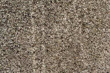 gri beton duvar 3