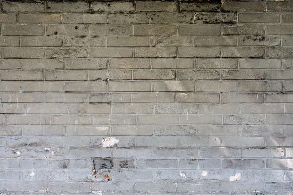 Muro di mattoni grigi 4 — Foto Stock