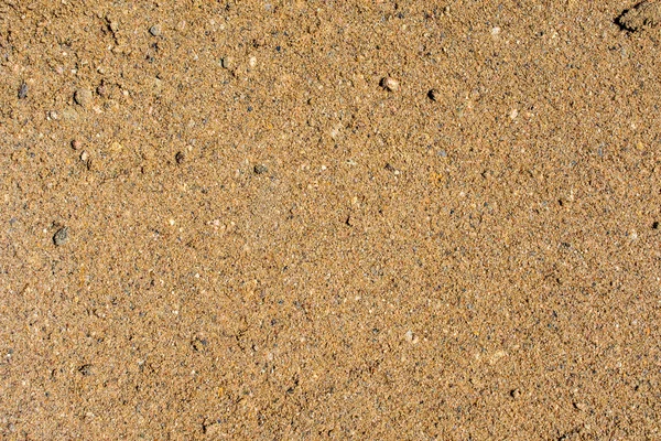 Patch av brun jord — Stockfoto