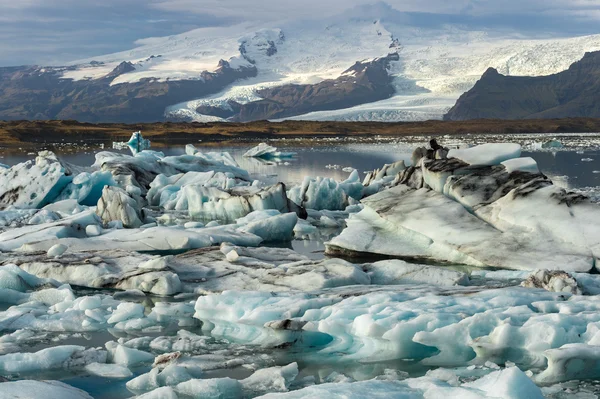 Ice cubes at  Jokulsarlon Glacier Lagoon with snow mountain range background — Stock Photo, Image