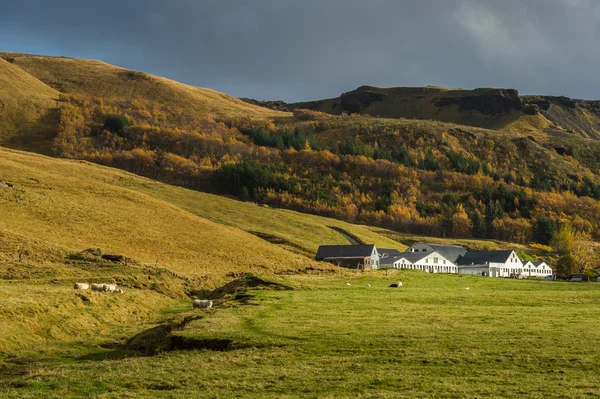 Farmhouse with field and pine tree surround mountain range background in Autumn season — Stock Photo, Image