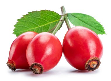 Beyaz arka planda izole edilmiş olgun taze gül kalçaları. Dosya kırpma yolu içeriyor.