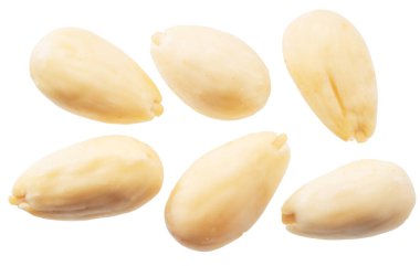 Beyaz arka planda izole edilmiş bir takım badem fıstığı. Dosya kırpma yolları içeriyor.