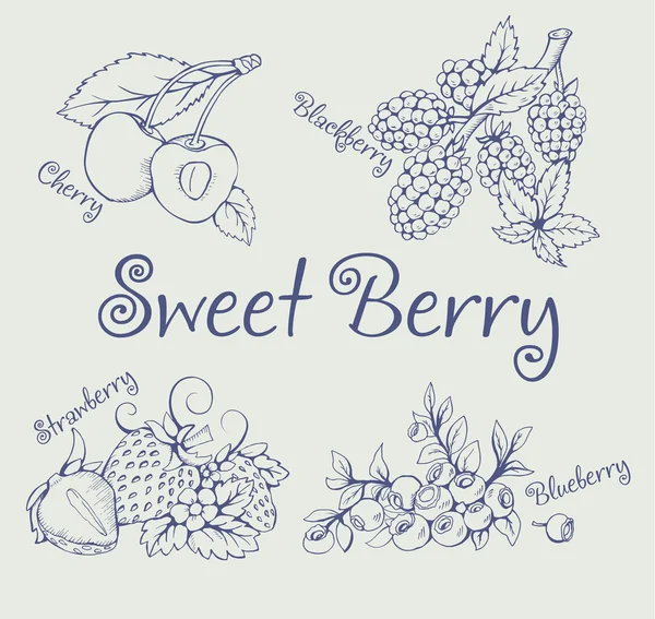 Set van blackberry, aardbei, bosbes, kersen — Stockvector
