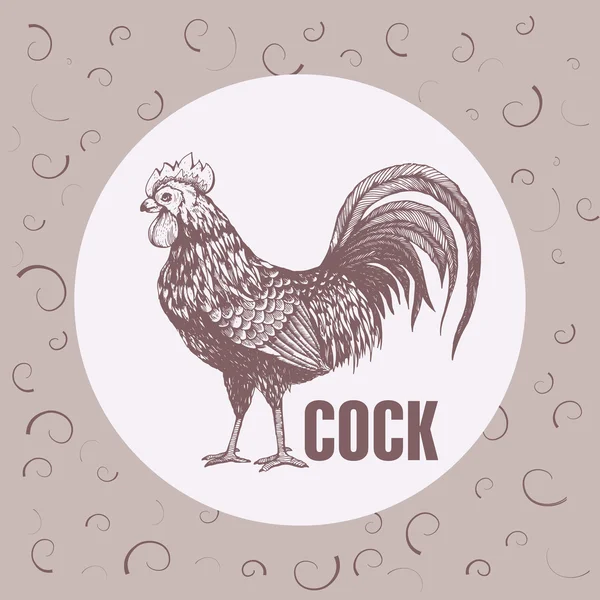 Profile of cock — Stock Vector