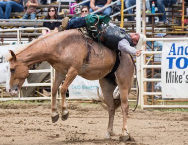 Rodeo Kuzey Kaliforniya'da