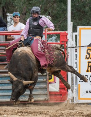 Rodeo Cottowood içinde