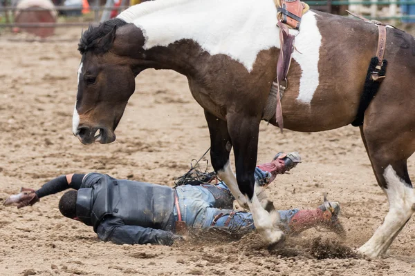 Rodeo w północnej Kalifornii — Zdjęcie stockowe