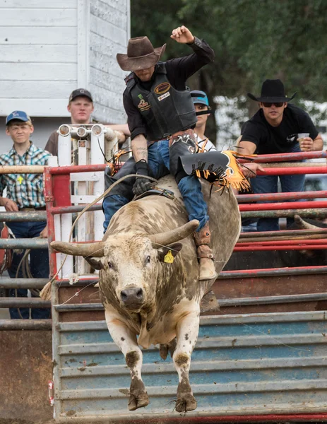 Rodeo in Northern  California — Stock Photo, Image