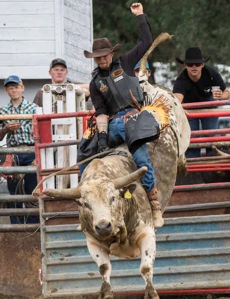 Rodeo in Nordkalifornien — Stockfoto