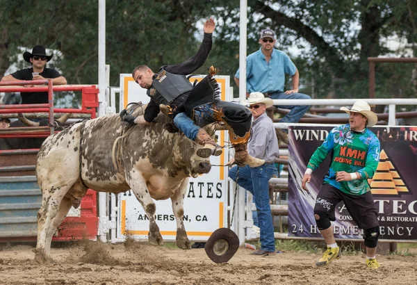 Rodeo in Noord-Californië — Stockfoto