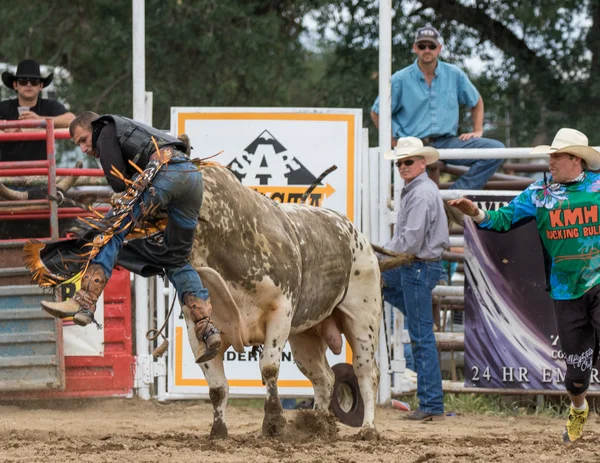 Rodeo in Nordkalifornien — Stockfoto