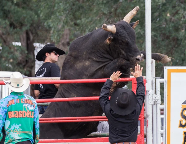 Rodeo en Cottowood — Foto de Stock