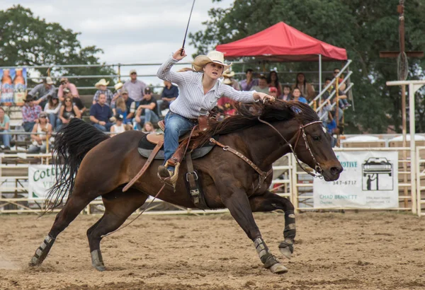 Rodeo en Cottowood —  Fotos de Stock