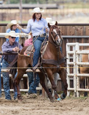Buzağı Roping Kızlar