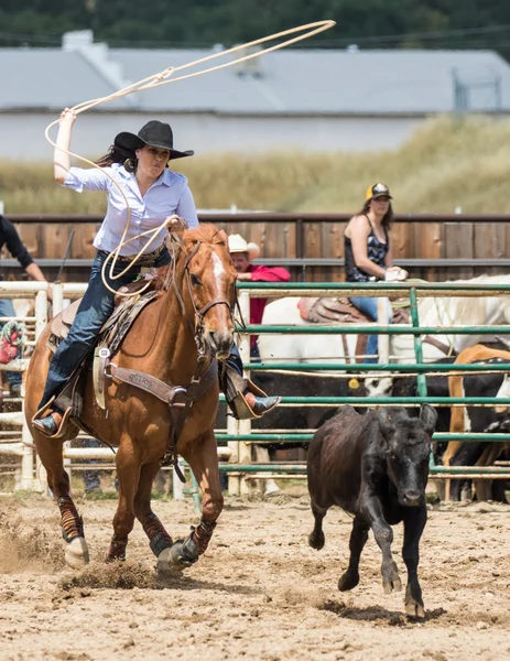 Rodeo Day åtgärd — Stockfoto